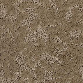 Pattern Tiger Eye Brown Carpet