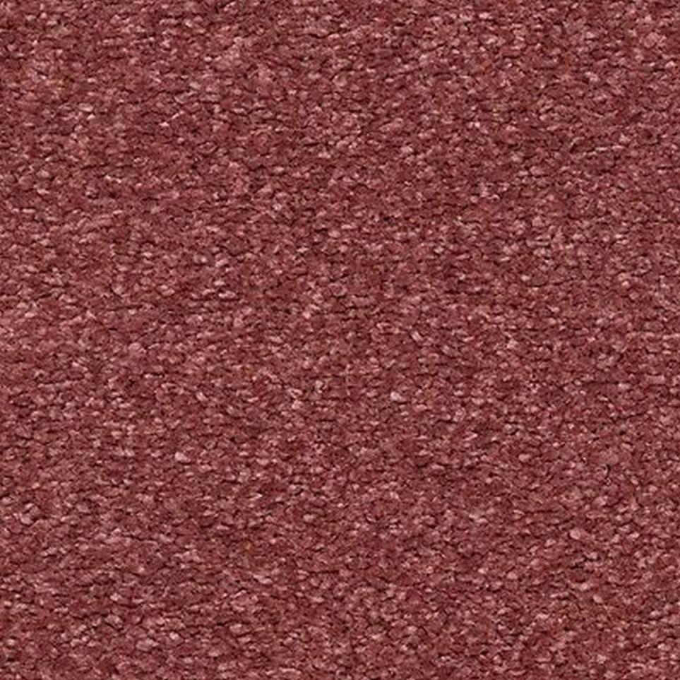 Textured Saxony Perfection Red Carpet