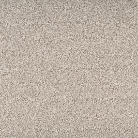 Textured Saxony Exquisite Beige/Tan Carpet