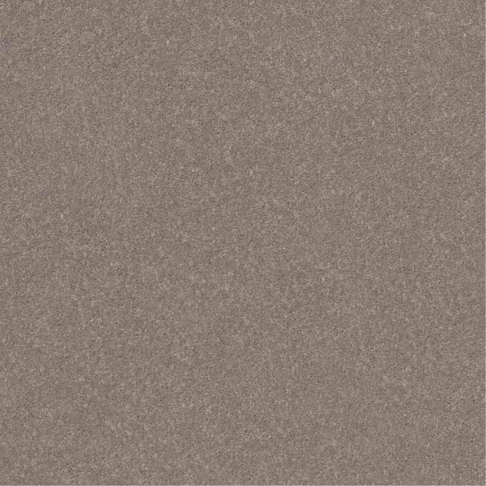 Plush Saxony Deer Valley Beige/Tan Carpet