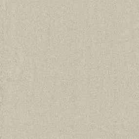 Textured Saxony Winter Haven Beige/Tan Carpet