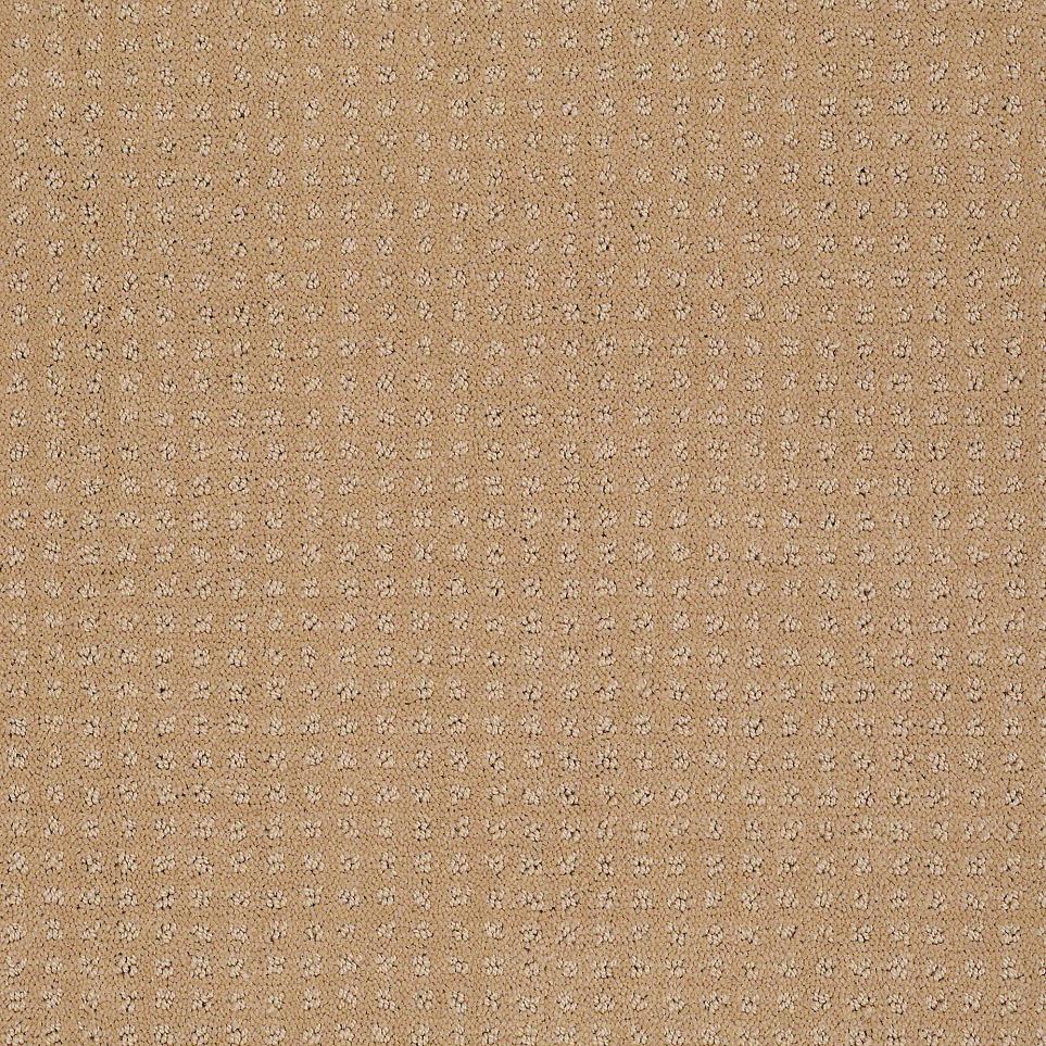 Pattern Caramel Beige/Tan Carpet