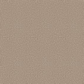 Textured Saxony Focus Beige/Tan Carpet