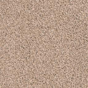 Textured Saxony Focus Beige/Tan Carpet
