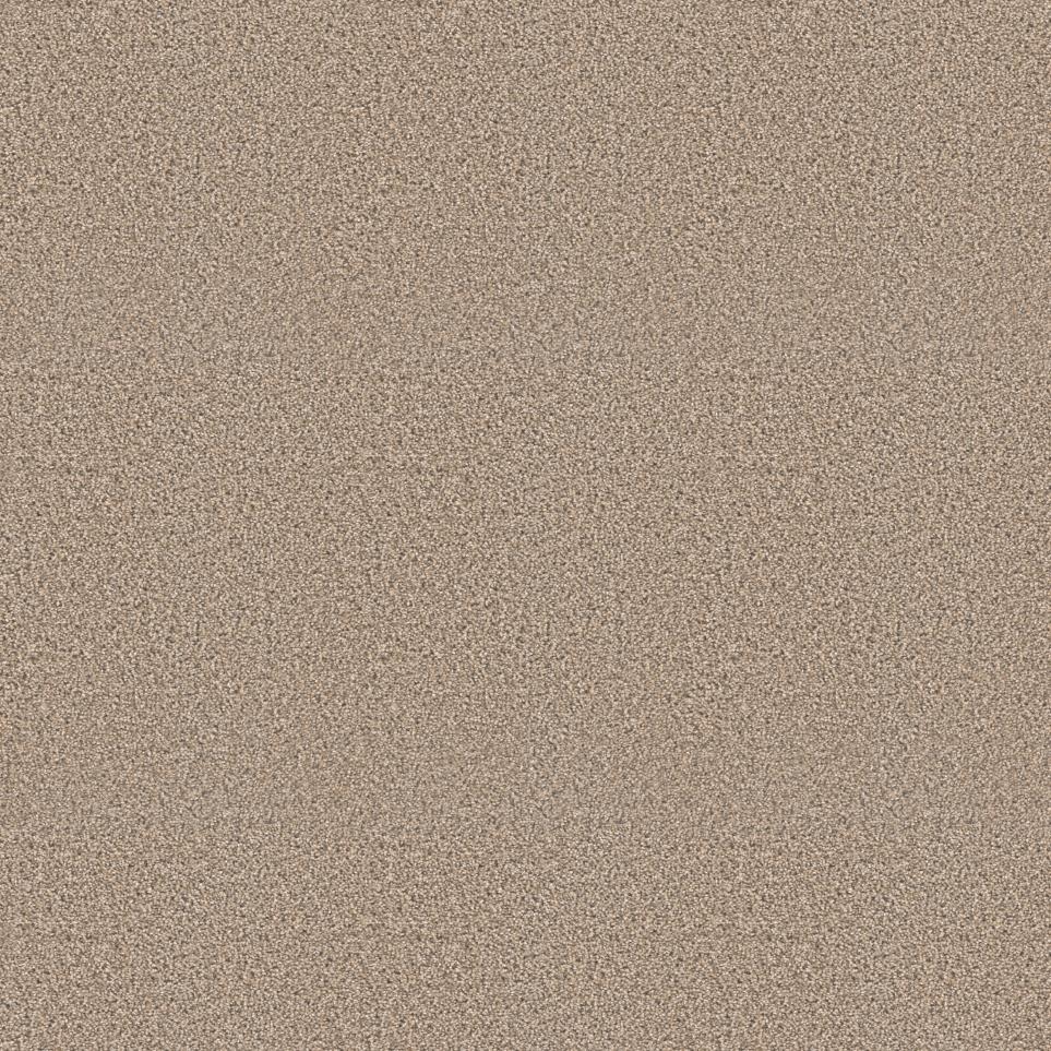 Textured Saxony Focus Beige/Tan Carpet