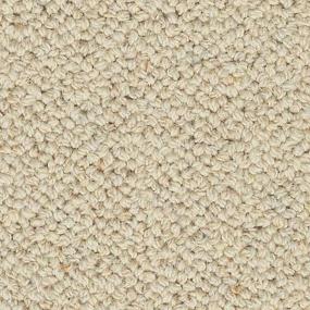 Loop Atrium Beige/Tan Carpet