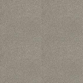 Textured Saxony Outlook Brown Carpet
