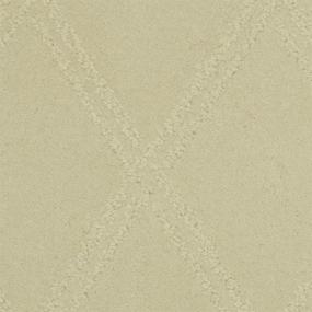 Pattern Shifting Sand Beige/Tan Carpet