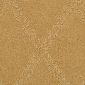 Pattern Terra Cotta Brown Carpet