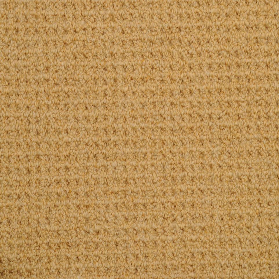 Loop Carina Beige/Tan Carpet