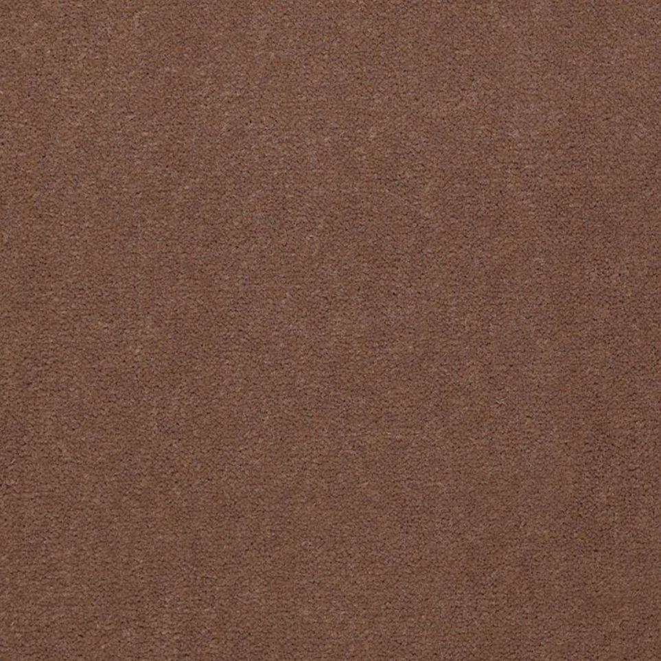 Cut Pile Cocoa Brown Carpet