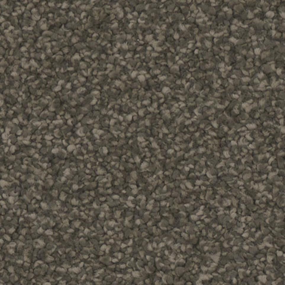 Textured Saxony Devine Beige/Tan Carpet