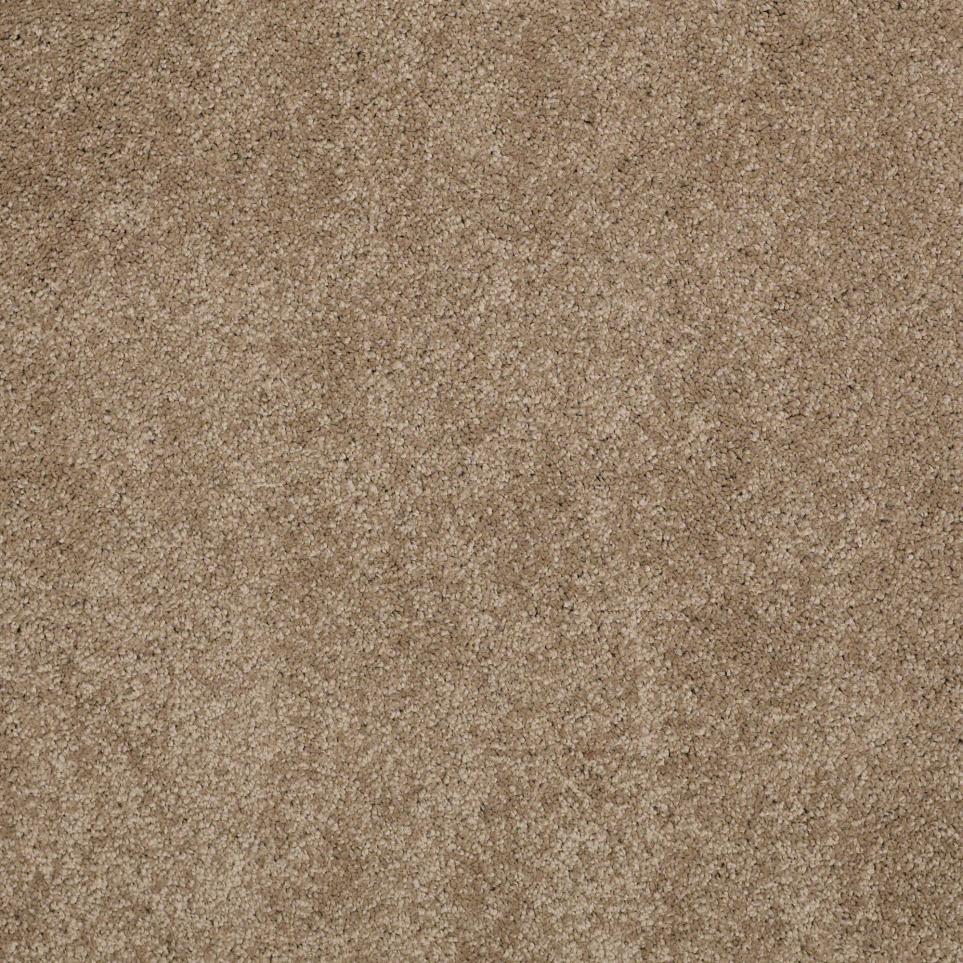 Texture Desktop Beige/Tan Carpet