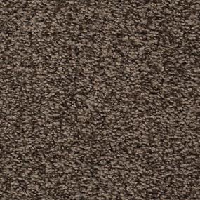 Textured Saxony Steeple Brown Carpet