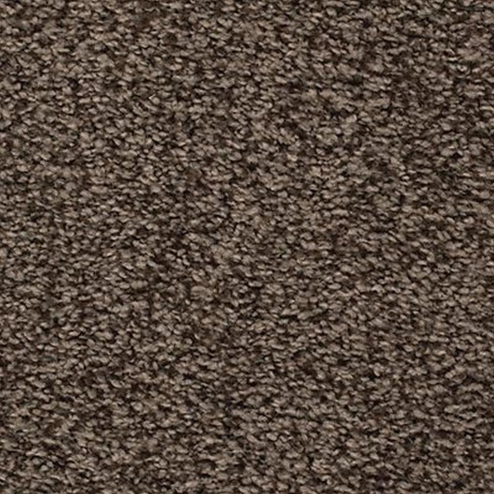 Textured Saxony Steeple Brown Carpet