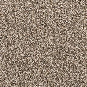 Textured Saxony Misty Brown Carpet