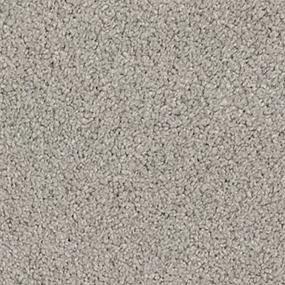 Textured Saxony Dove Gray Gray Carpet