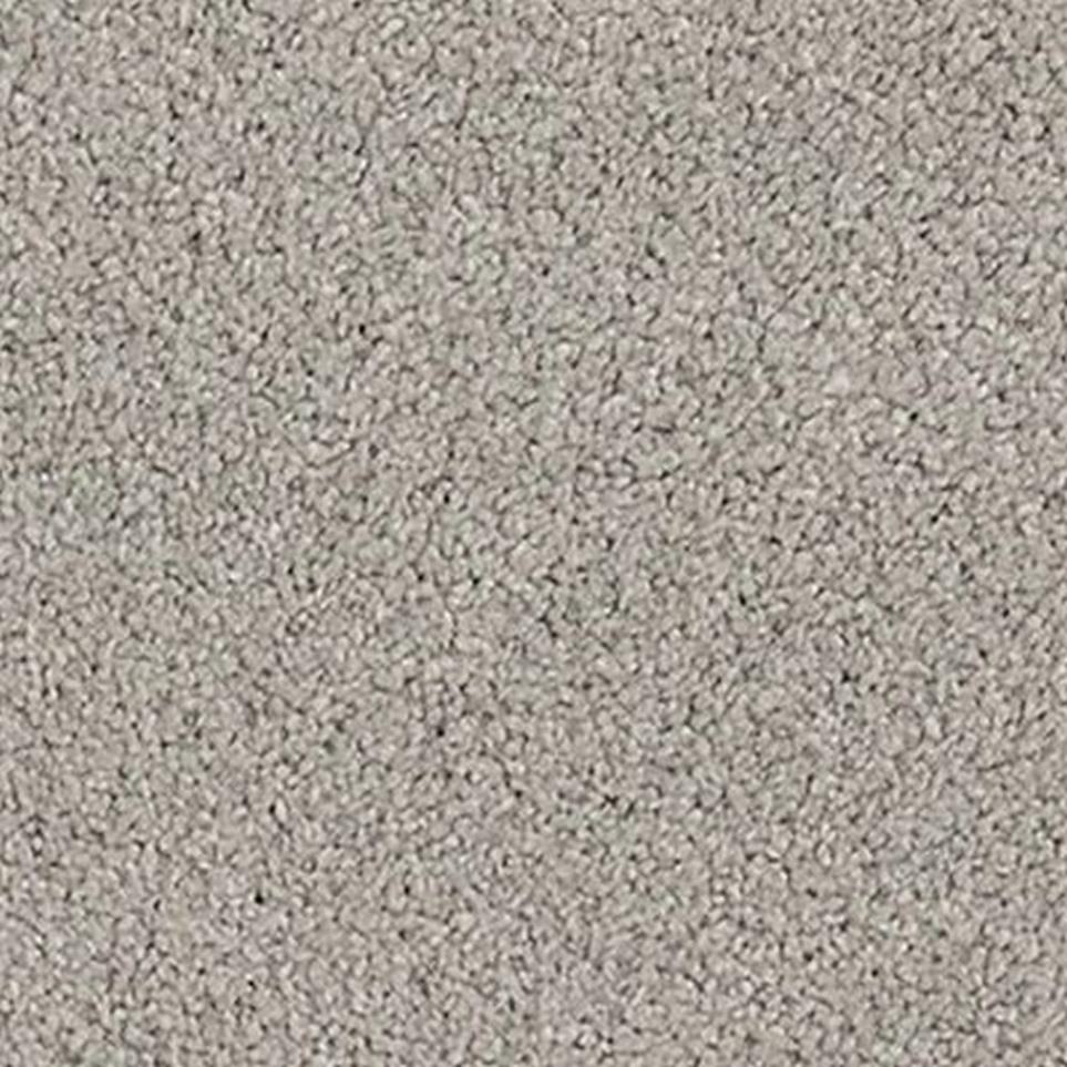 Textured Saxony Dove Gray Gray Carpet