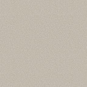 Casual Texture First Star Beige/Tan Carpet