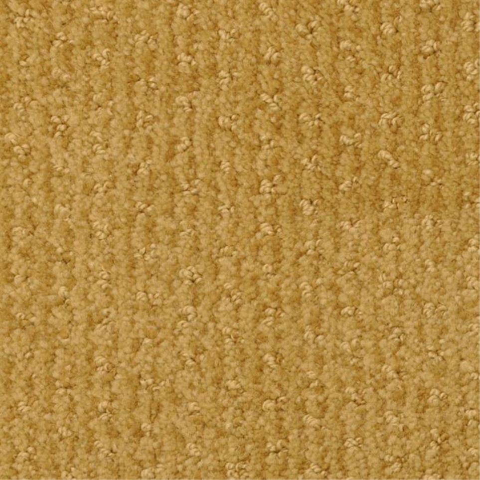 Pattern Denver Beige/Tan Carpet