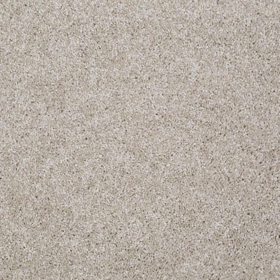 Texture Silicon Gray Carpet