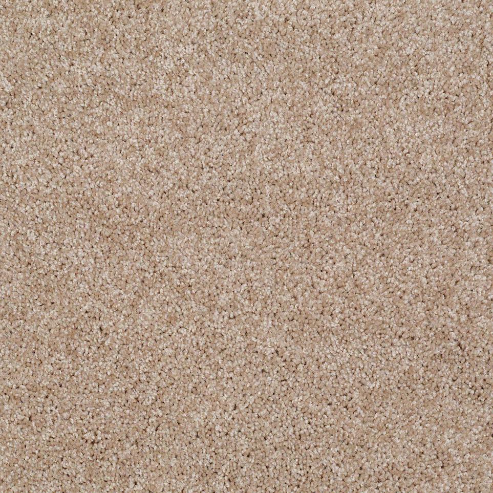 Texture Rich Earth  Carpet