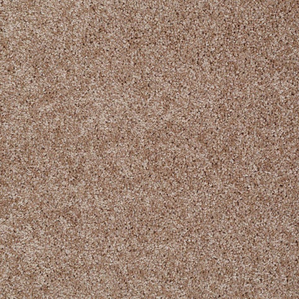 Texture Hayfield Beige/Tan Carpet