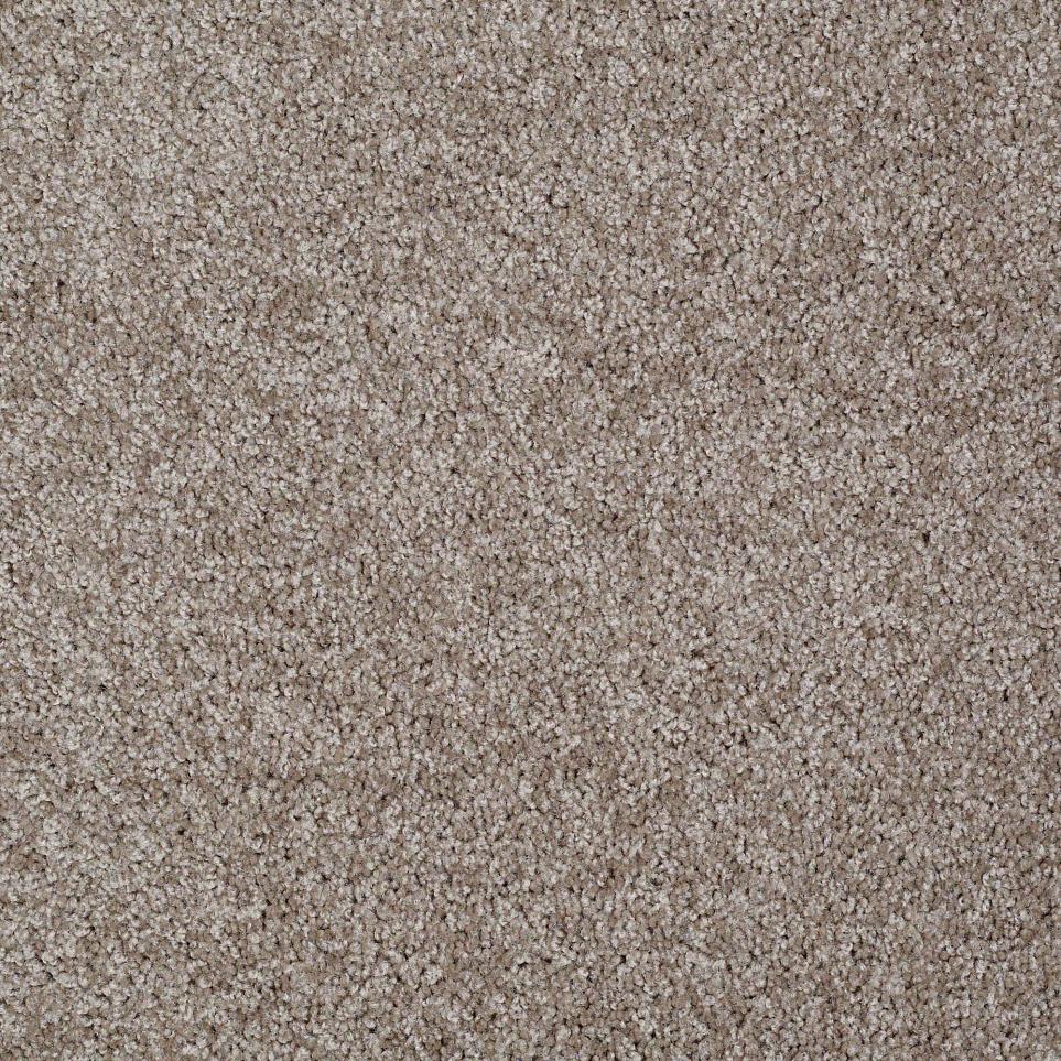 Texture Pinecone Brown Carpet