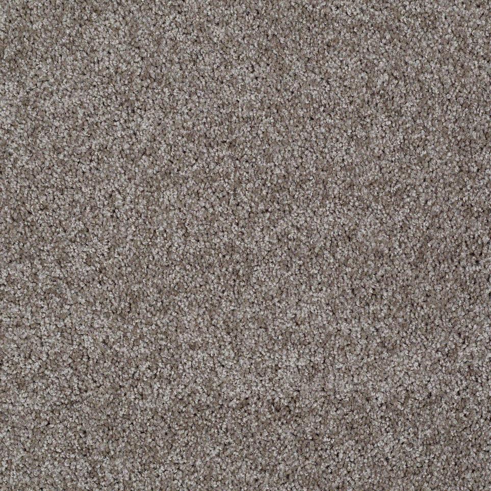 Texture Moccasin Brown Carpet