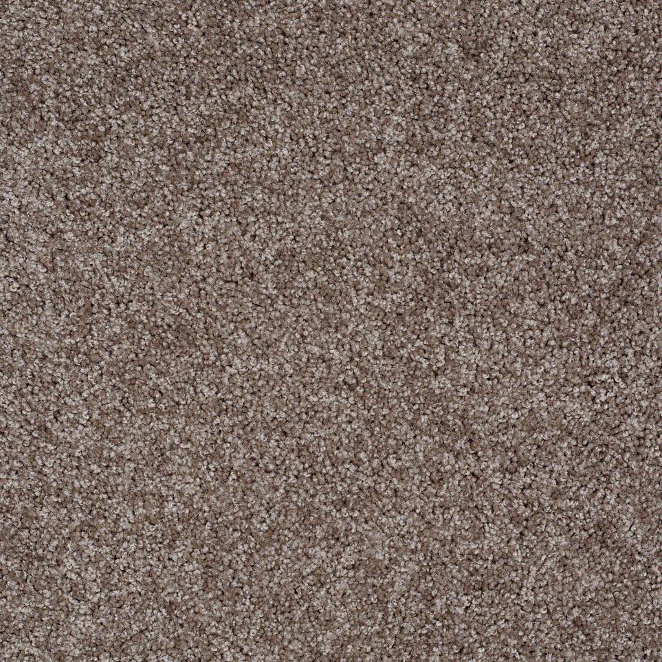 Texture Creek Bed Brown Carpet
