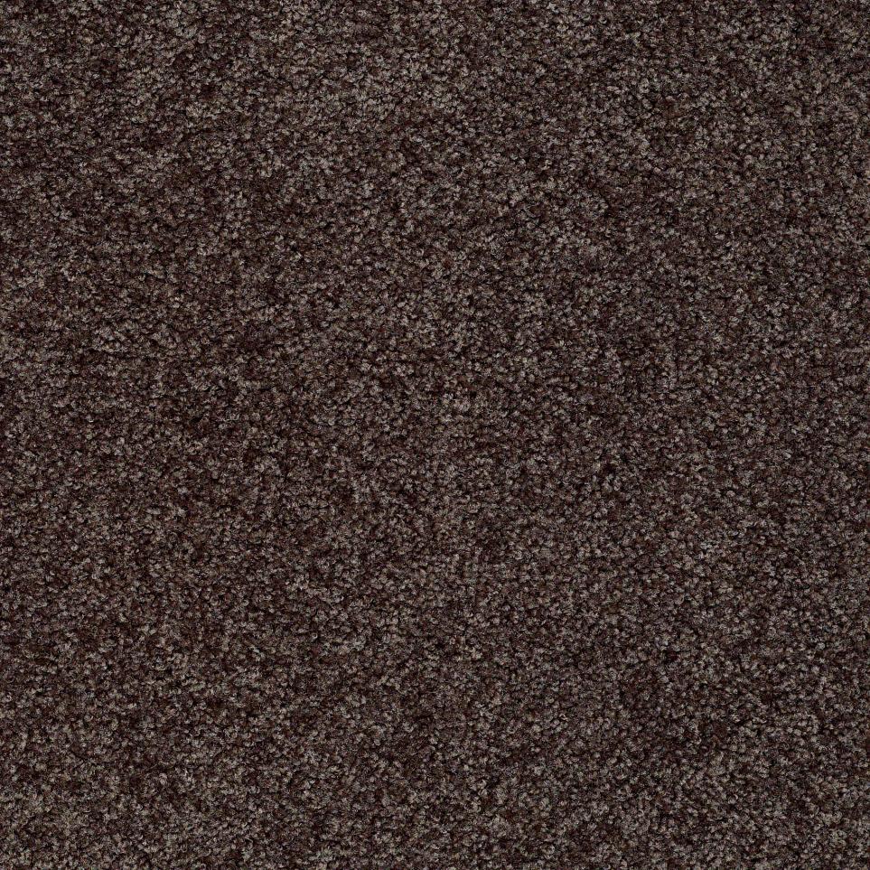 Texture Peat Moss Brown Carpet