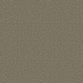 Textured Saxony Class Act Beige/Tan Carpet