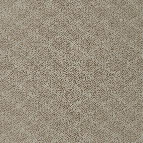 Pattern Sandbar Brown Carpet