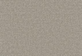 Loop Escapade Gray Carpet