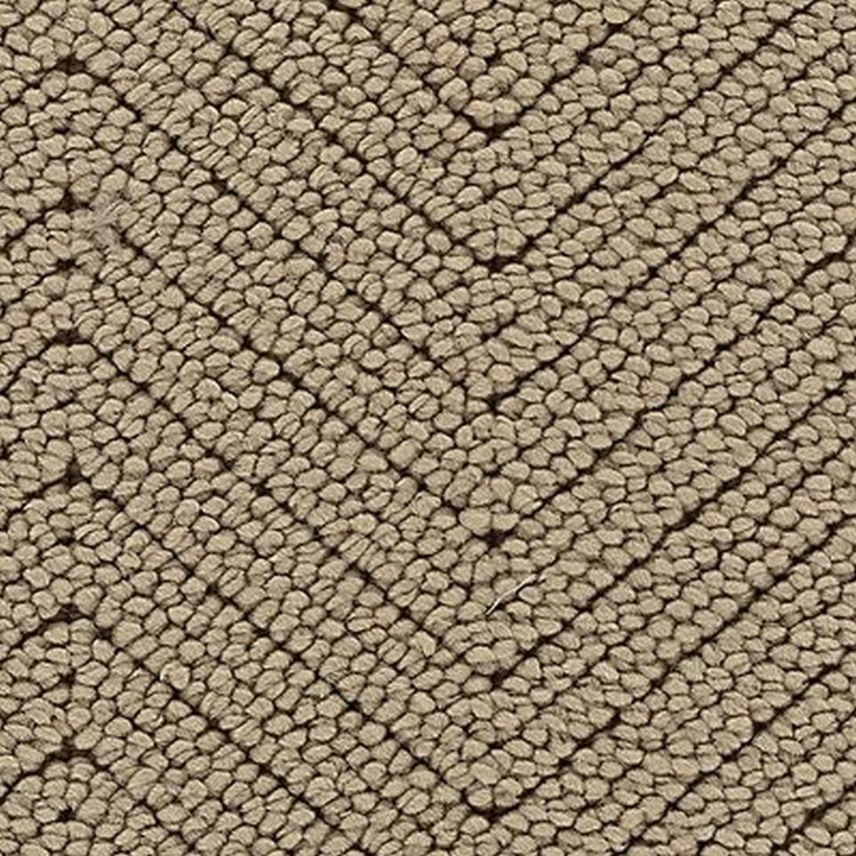 Loop Burnished Wood Beige/Tan Carpet