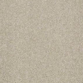 Textured Saxony Oatmeal Beige/Tan Carpet
