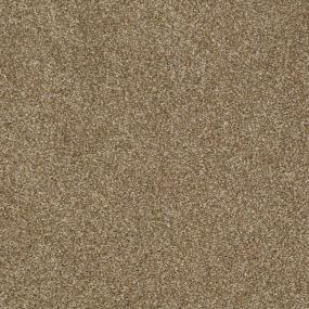 Textured Saxony Toffee Beige/Tan Carpet