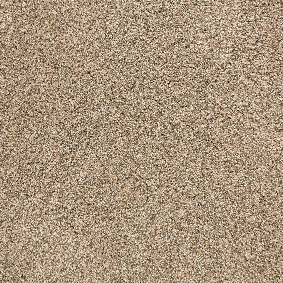Texture Fawn Beige/Tan Carpet