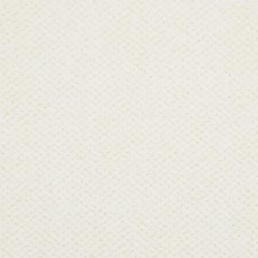 Pattern Shell White Carpet