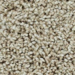 Textured Saxony Cameo Stone Beige/Tan Carpet