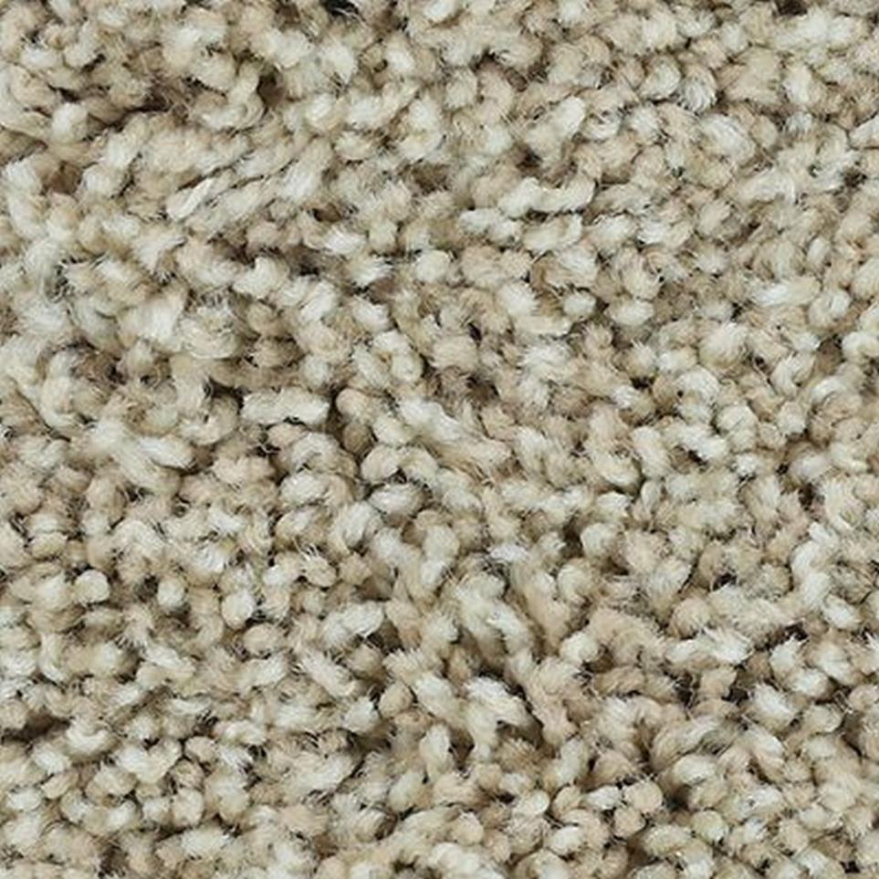 Textured Saxony Cameo Stone Beige/Tan Carpet