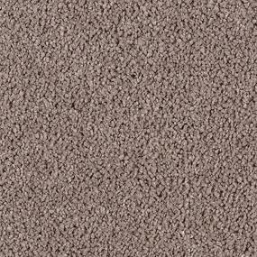 Cut Pile Swiss Coffee Brown Carpet
