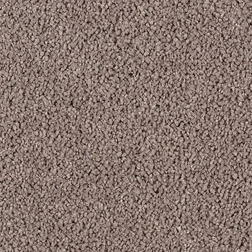 Cut Pile Swiss Coffee Brown Carpet