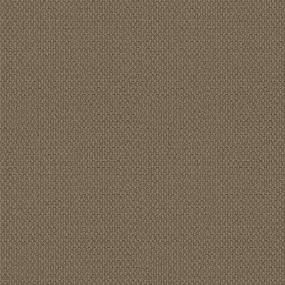 Loop Sunrise Beige/Tan Carpet