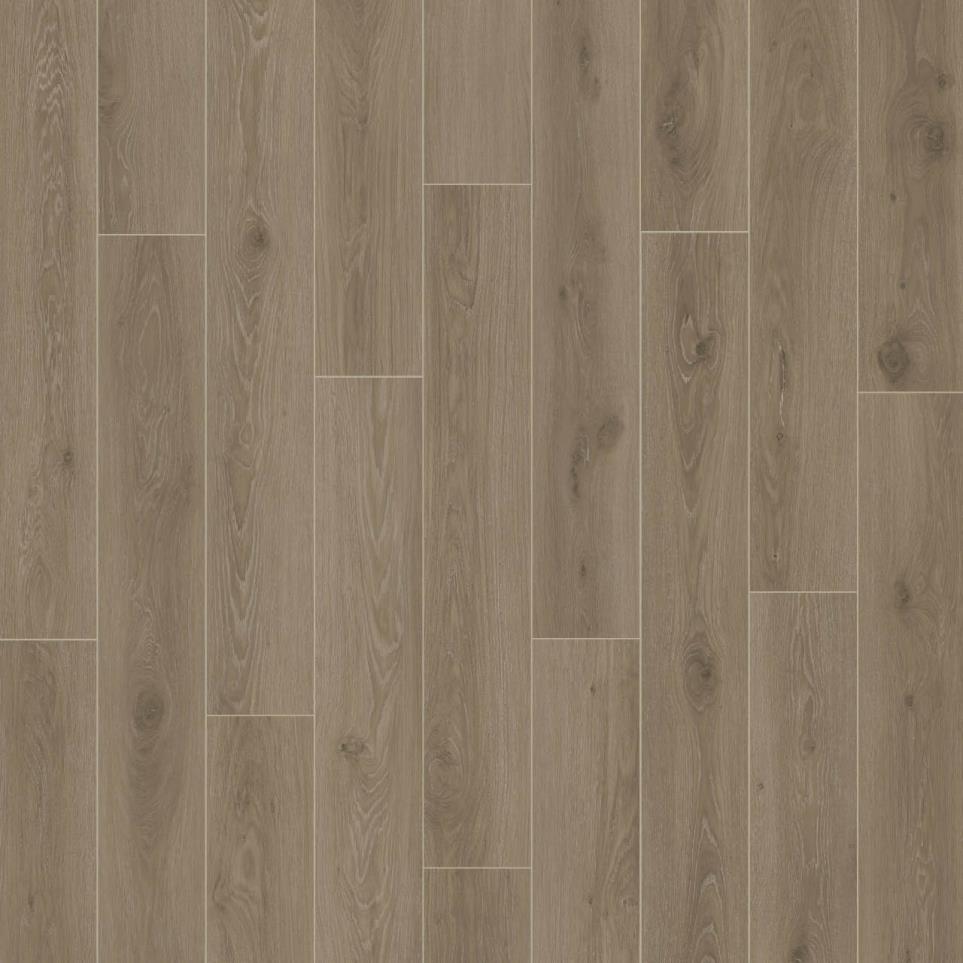 Plank Arbor Medium Finish Vinyl