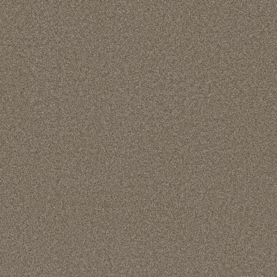 Texture Venture Brown Carpet