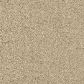 Textured Saxony Biscotti  Beige/Tan Carpet
