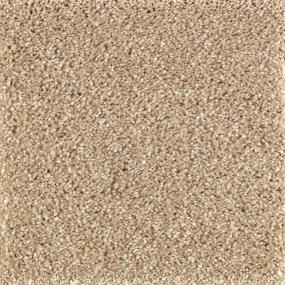 Textured Saxony Biscotti  Beige/Tan Carpet
