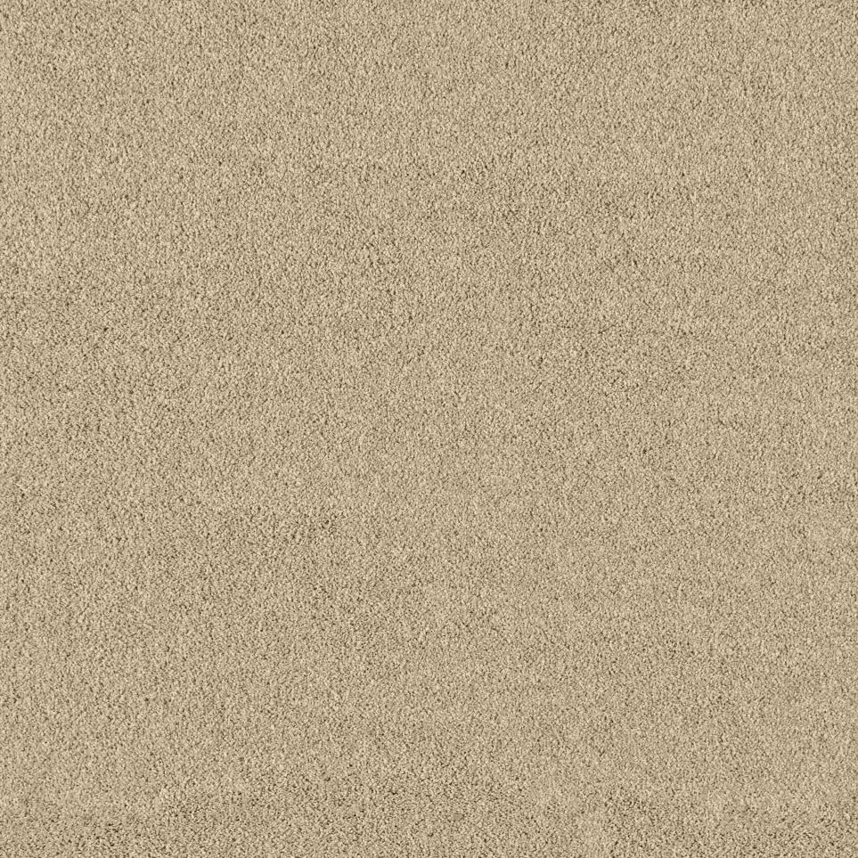 Texture Biscotti   Carpet