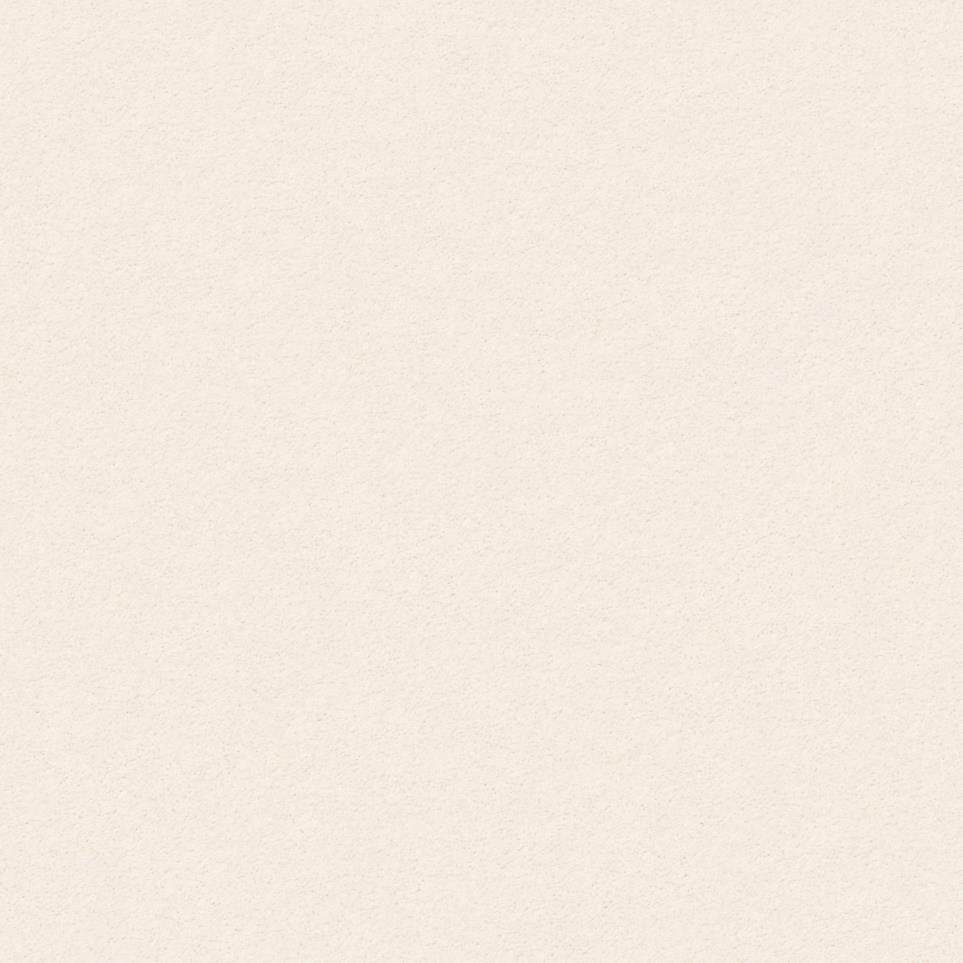 Textured Saxony French White White Carpet
